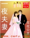 一夜夫妻 一夜夫妻