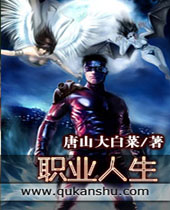 职业人生封面