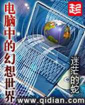 电脑中的幻想世界封面