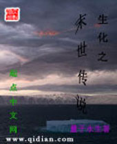 生化之末世传说封面