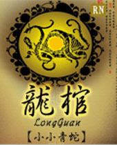 龙棺封面