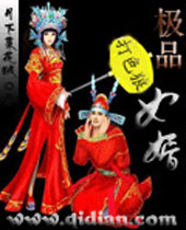极品女婿封面