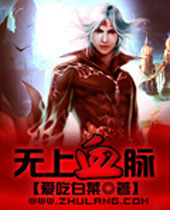 无上血脉封面